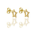 ORECCHINI DONNA STELLA TRAFORATA PAVE'